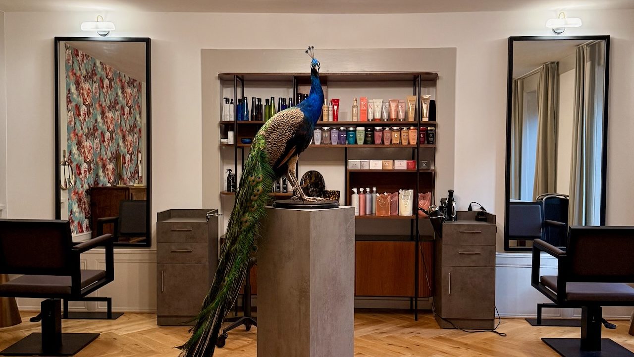 Intérieur du Salon29 à Neuchâtel : paon naturalisé, miroirs et produits Kérastase